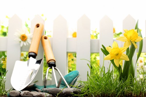 Local hedge trimming service for a Clapham property boundary
