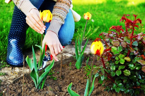 Customer complaint review process for arborist services