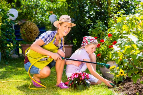 Tree removal and site clearance service for Clapham homes and businesses